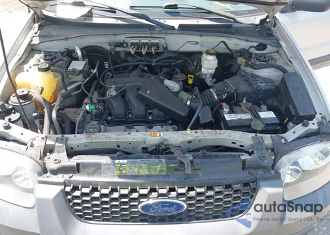 2007 Ford Escape Xlt/Xlt Sport z USA, uszkodzony, nr VIN 1FMYU93137KB87437